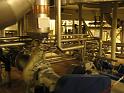 Krombacher 05.06.2008007